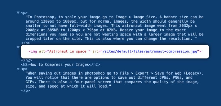 Images on every Page for Alt Text | Unleashed Technologies